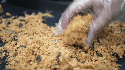 海底捞西安店事件,海底捞杭州门店事件