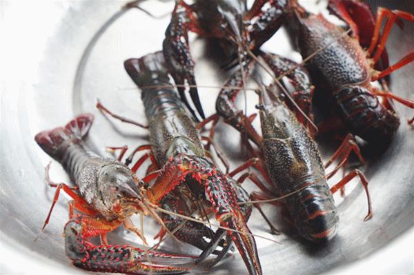 5年来它是棠下最火的宵夜店，16大盘虾蟹满汉全席震撼朋友圈