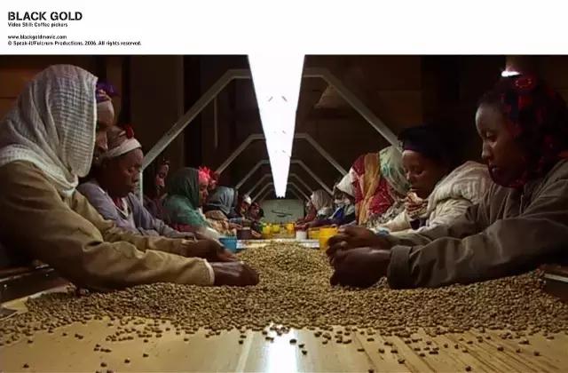 推荐咖啡的电影有哪些,咖啡控必看十部电影