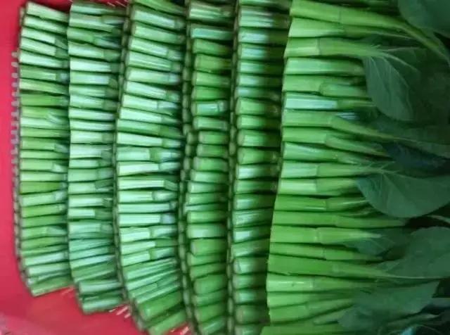 宁夏蔬菜疯狂暴涨，难道这真是台风惹的祸？广州江南0829菜价