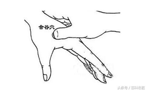 按哪个穴位可以提高免疫力,提高免疫力哪个穴位最有效