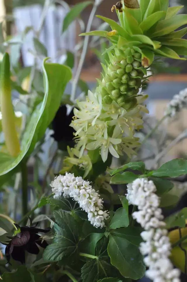 七夕节叫你送花你就去拿吧,微信公众号送花怎么弄