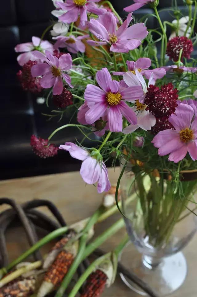 七夕节叫你送花你就去拿吧,微信公众号送花怎么弄