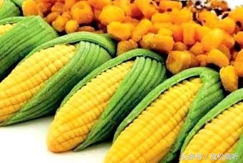 转基因食品有哪些了解,怎样辨别转基因和非转基因食品