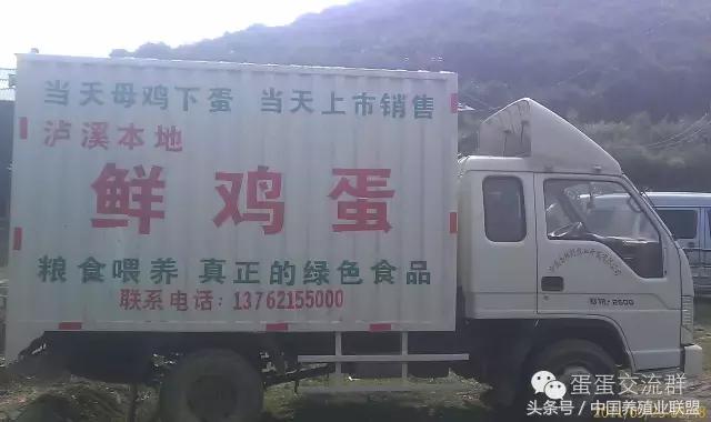 鸡蛋生意经营技巧,如何把鸡蛋卖出高价格