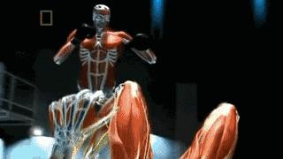 梅威瑟把嘴炮怼得哑口无言,梅威瑟耍诈ko对手