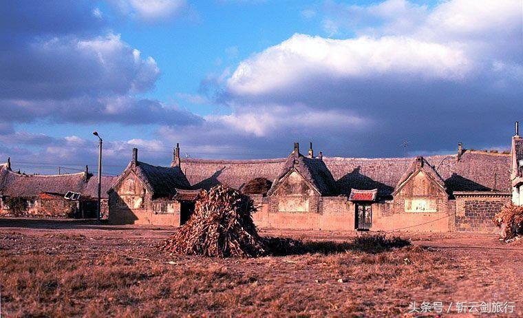 荣成烟墩角天鹅拍摄机位,世界最大天鹅