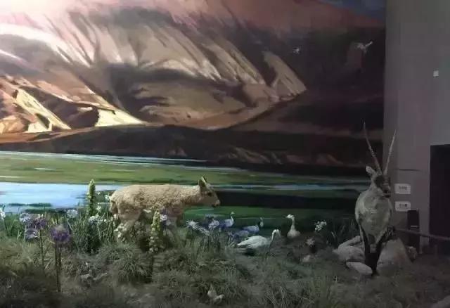 开学前最后一次狂欢,开学前最后一期视频