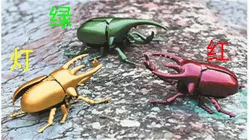 开学前最后一次狂欢,开学前最后一期视频