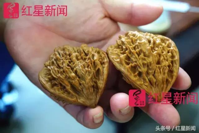 真相调查:文玩核桃再步玛卡后尘?从几万元一对到5元没人要?