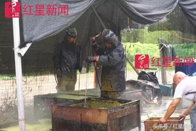 真相调查:文玩核桃再步玛卡后尘?从几万元一对到5元没人要?