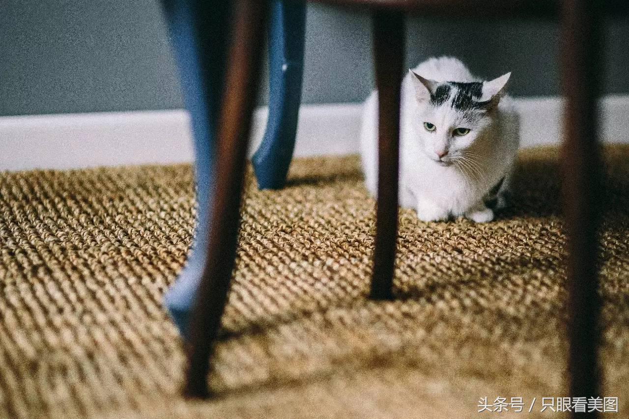 装修选水管注意哪些,装修防火材料选用一般原则是什么