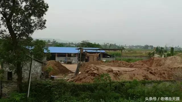 梁中与红中曾合校办学多年~两校原是亲生血缘关系