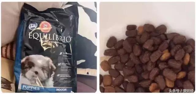 Todayis七夕，这盆狗粮爱妖经替你验过，放心吃吧