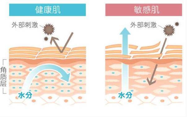 秋季到了护肤三大秘籍,夏天都知道的护肤小技巧