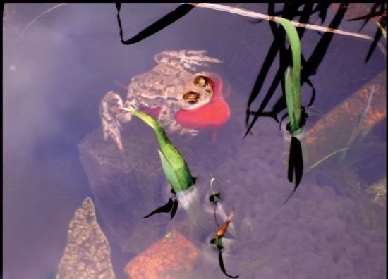 撕膜的正确方法你学会了么,有哪些有效的撕膜方法