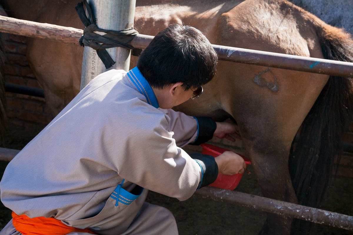 去内蒙古必须要知道什么知识,为什么那么多人去内蒙
