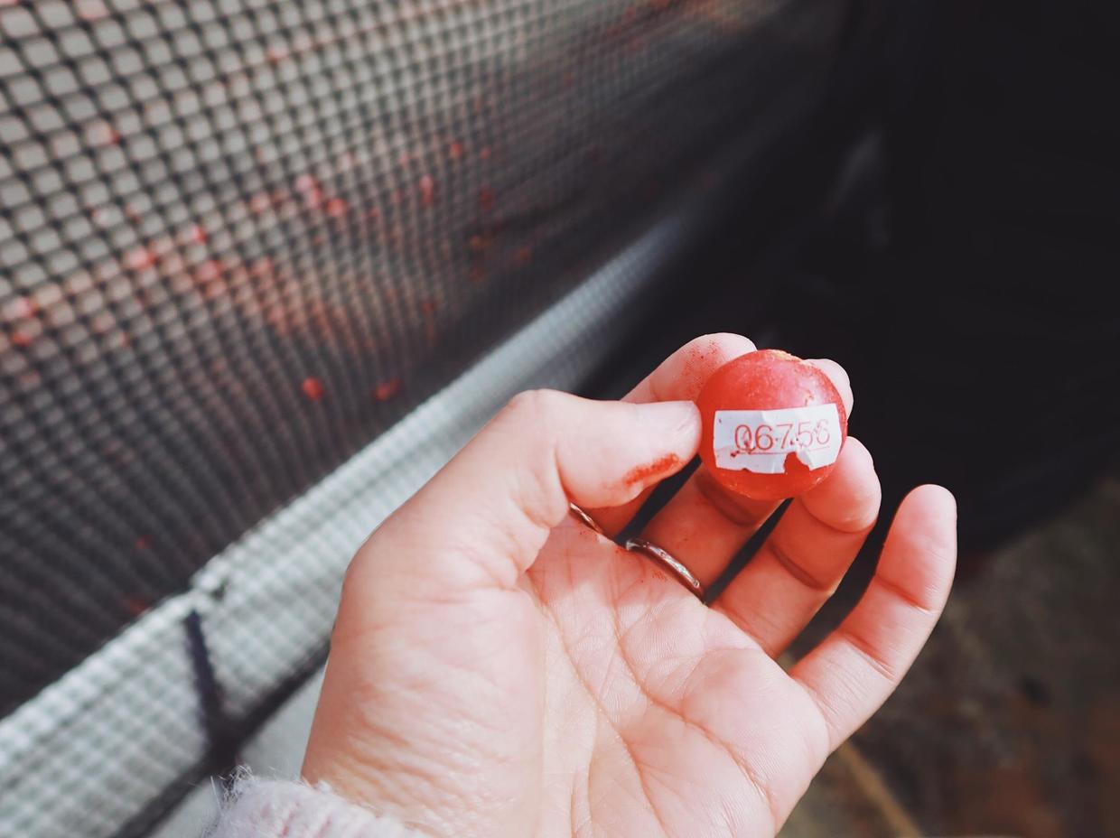 巧克力工厂吉百利,吉百利巧克力工厂简介