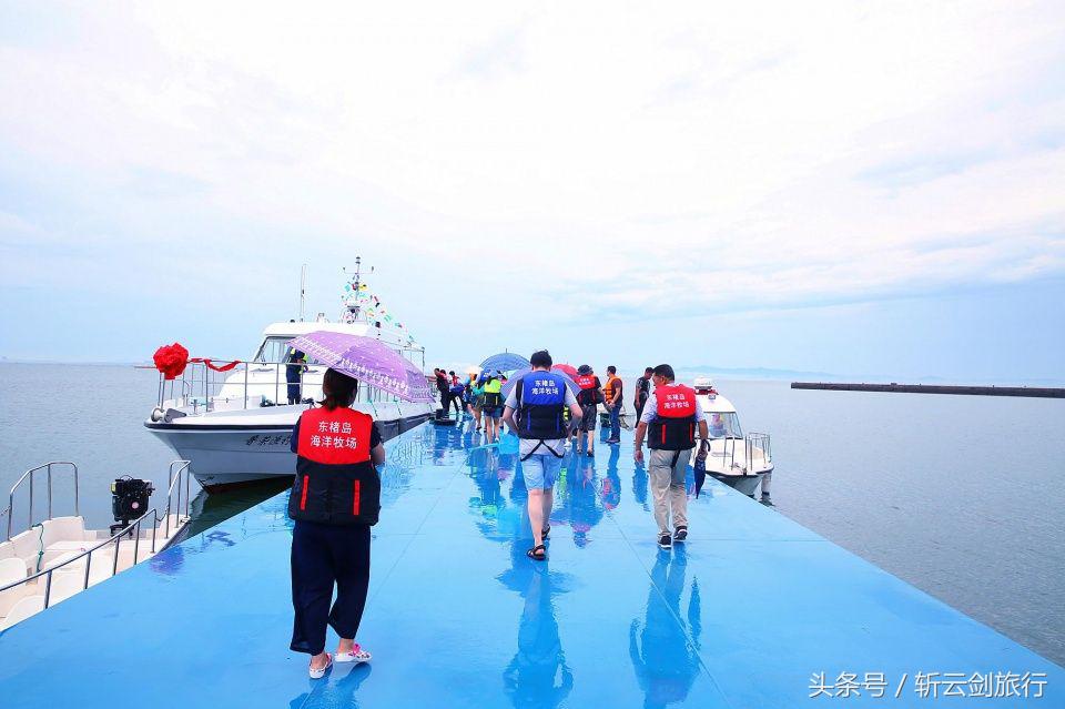 荣成烟墩角天鹅拍摄机位,世界最大天鹅