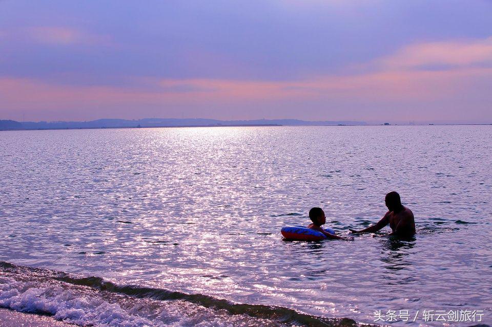 荣成烟墩角天鹅拍摄机位,世界最大天鹅
