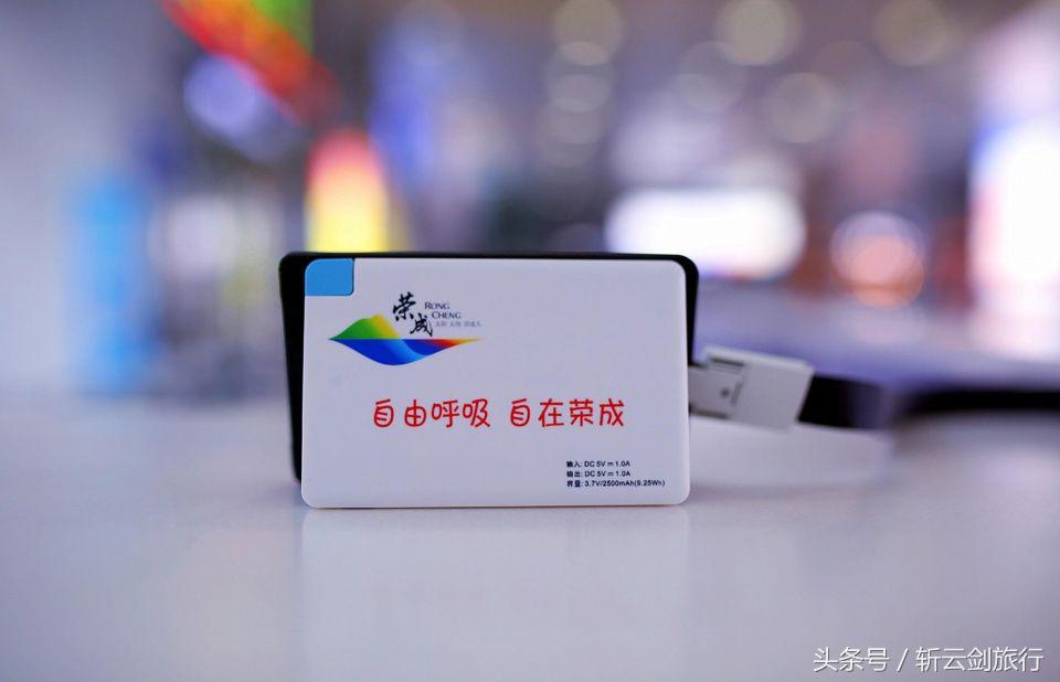 荣成烟墩角天鹅拍摄机位,世界最大天鹅