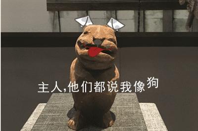 开学前最后一次狂欢,开学前最后一期视频