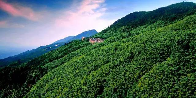 重庆免费景区有哪些地方,重庆景区有哪些景点门票免费