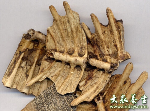 女人滋阴补血的10种食物,女人最靠谱的六种补血食疗方法