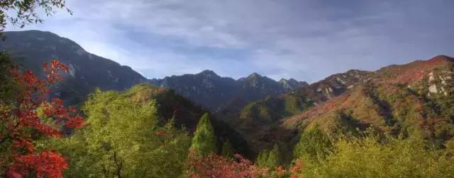 老板：“今天我要请假去神灵寨坐花轿，赢终身免门票”！请批准！