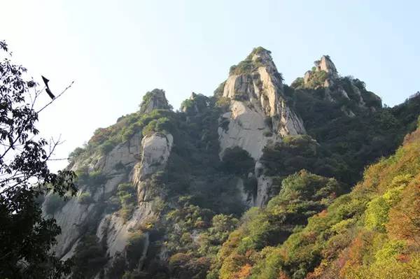 老板：“今天我要请假去神灵寨坐花轿，赢终身免门票”！请批准！