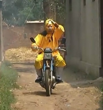 手游lol资料展示英雄排行,lol手游英雄胜率排行在哪看