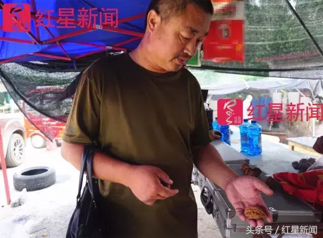 真相调查:文玩核桃再步玛卡后尘?从几万元一对到5元没人要?