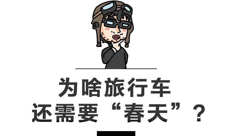 欧系旅行车值得买吗,不到十万就能入手的掀背式大空间