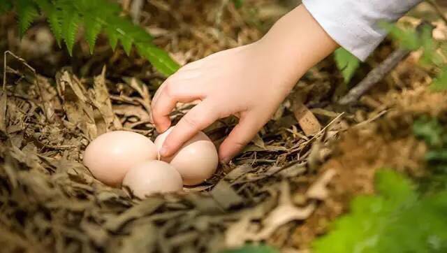 上海老字号米其林餐厅,历久弥新的老字号