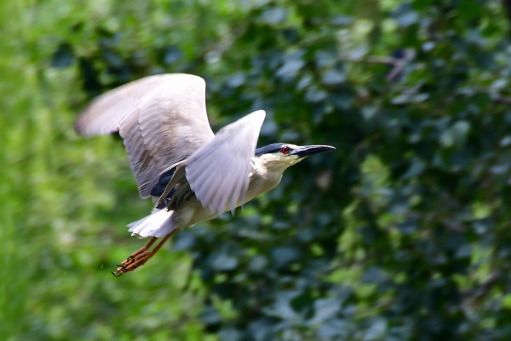 相机对焦一般选择什么模式,相机对焦模式是什么意思