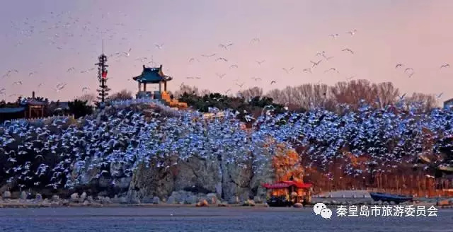 七夕如何秀恩爱搞笑,七夕秀恩爱高级