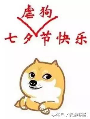 七夕节虐狗句子,七夕节花式虐狗我们不一样