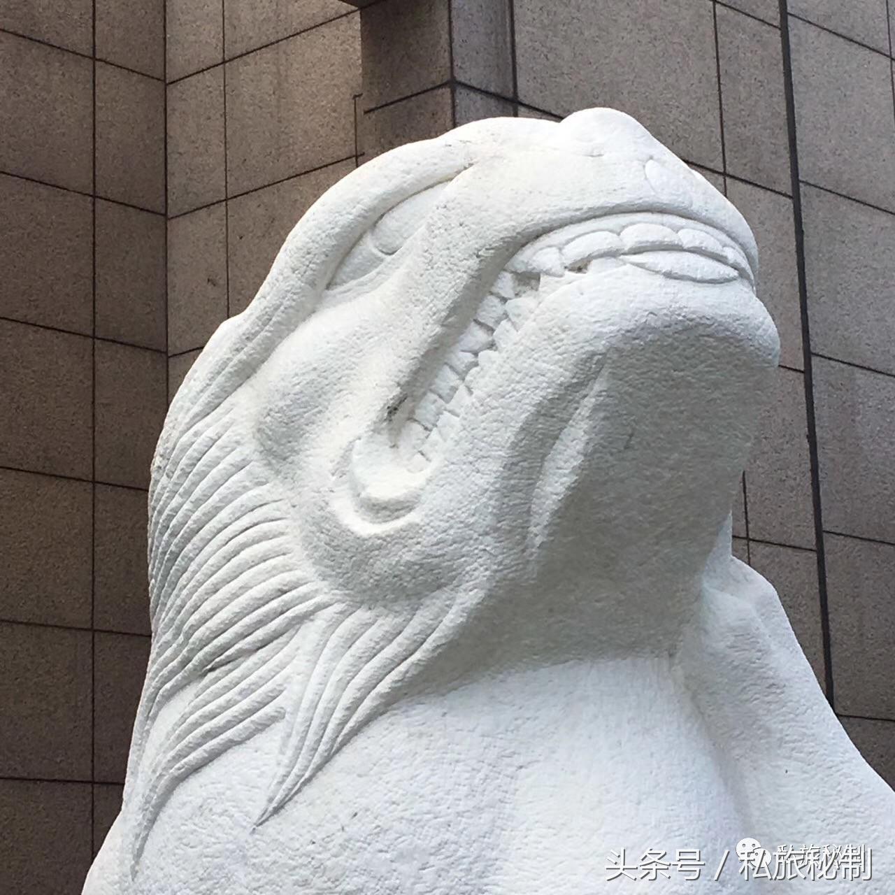 七夕节虐狗句子,七夕节花式虐狗我们不一样