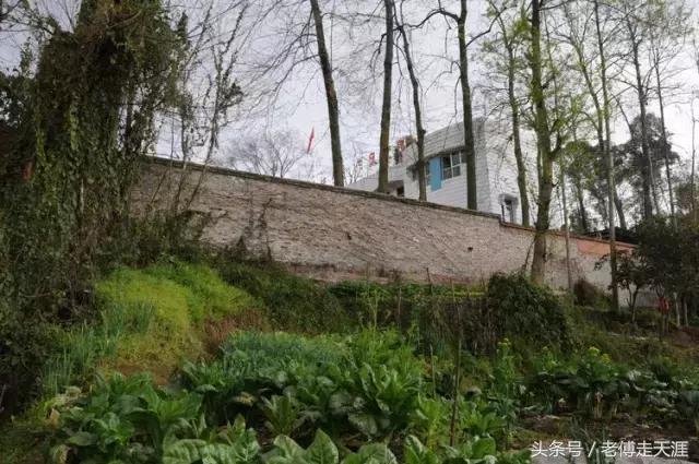 梁中与红中曾合校办学多年~两校原是亲生血缘关系