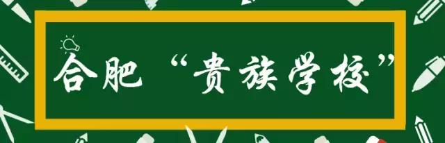 合肥9区的顶级学区,合肥市学区房价格