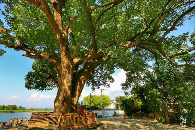 鍙ゅ牥鐢讳埂涔℃剚,鍙ゅ牥鐢讳埂鑹烘湳灏忛晣