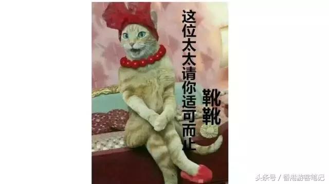 去香港和去日本哪个便宜,去香港和日本哪里便宜