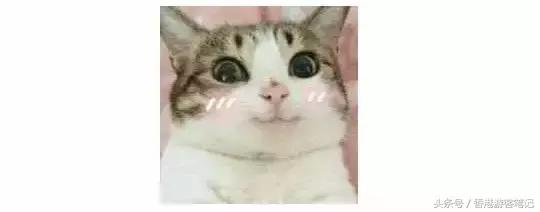 去香港和去日本哪个便宜,去香港和日本哪里便宜