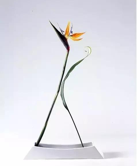 论花艺,不得不服日本