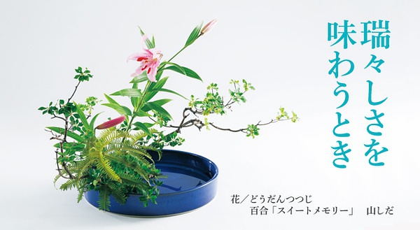 论花艺,不得不服日本