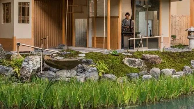 种草志|800年历史风华的京都四季,顺便告诉你京都怎么住