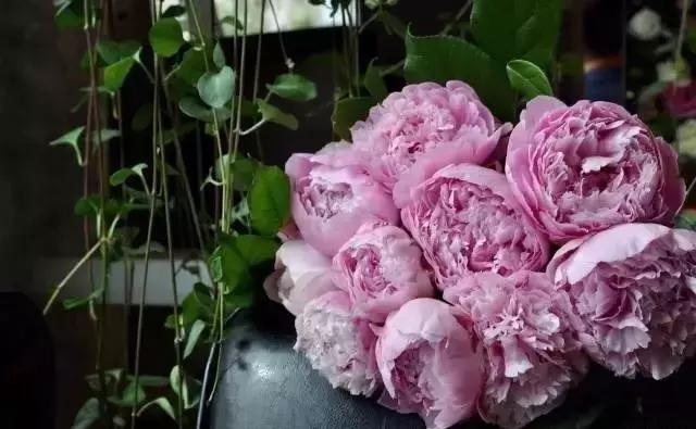 七夕节叫你送花你就去拿吧,微信公众号送花怎么弄