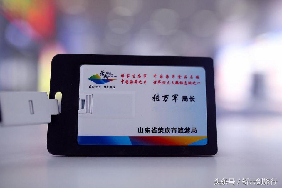 荣成烟墩角天鹅拍摄机位,世界最大天鹅