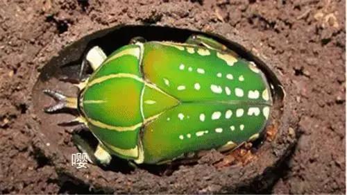 开学前最后一次狂欢,开学前最后一期视频