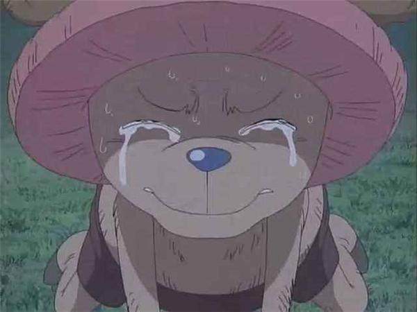 佩罗娜打索隆被山治笑,海贼王娜美生孩子